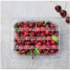 생 체리 1kg 체리 생체리 미국체리 워싱턴체리 캘리포니아체리 생체리1kg 항공직송 cherry