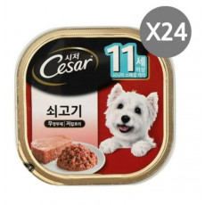 강아지 쇠고기 습식 캔 100g 24P 시저 노견 시니어