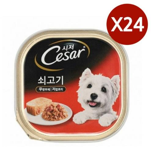 강아지 주식 캔 100G 24P 소고기 습식사료 영양간식